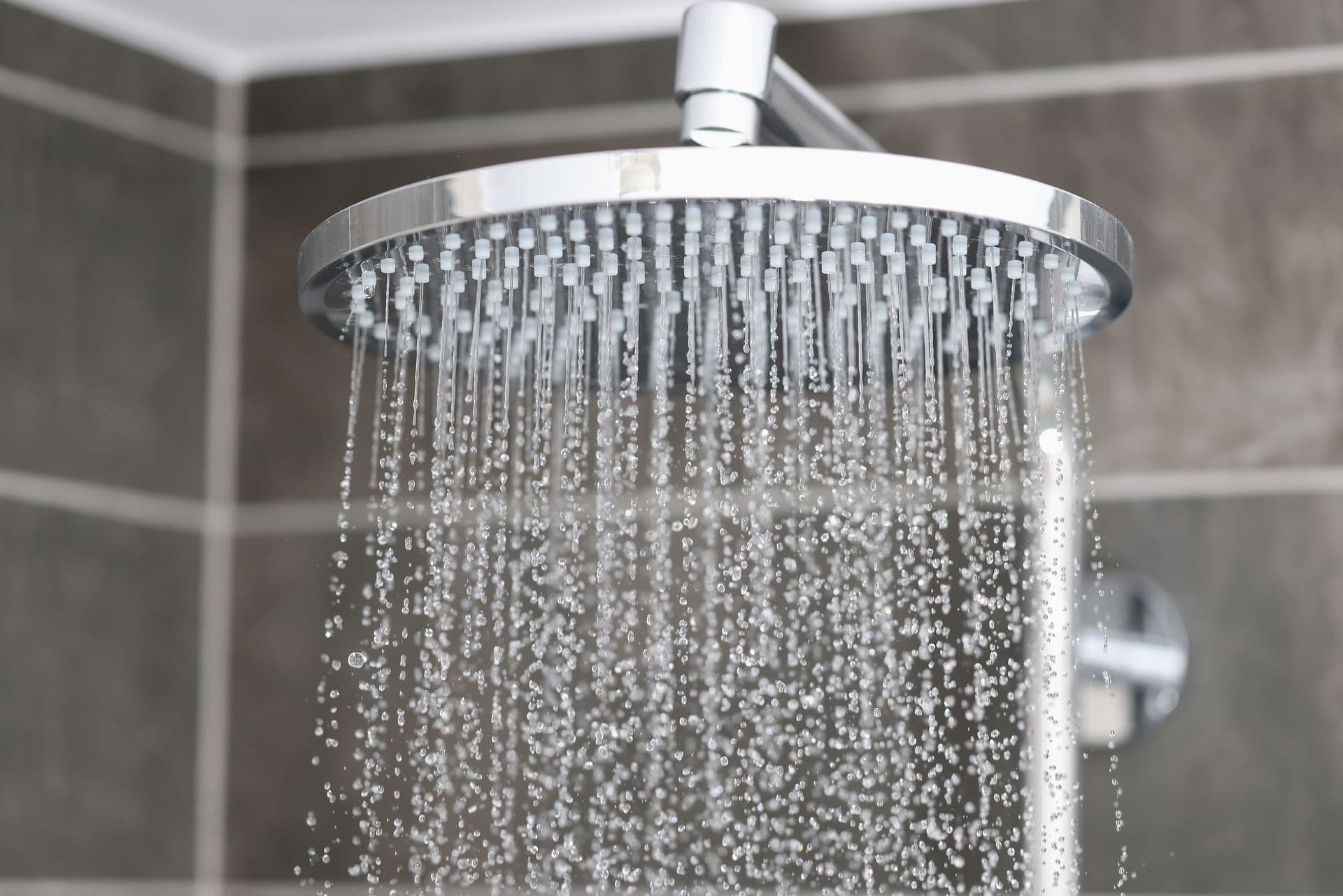 fewa_main_modern-showerhead.jpg